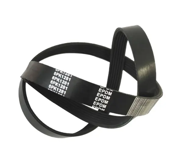 WhatsApp Image 2025-09-10 at 1.17.30 PM.webp